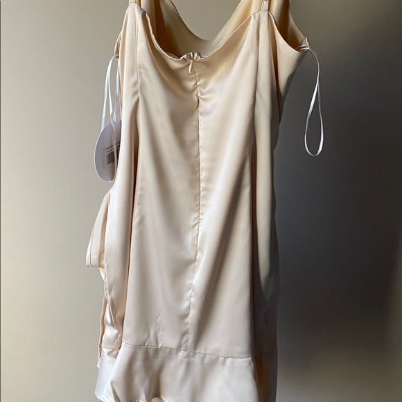 Princess Polly Champagne Mini Dress - Picture 4 of 5
